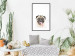 Wall Poster Pug - funny smiling dog with tongue out on white background 114959 additionalThumb 4