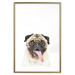Wall Poster Pug - funny smiling dog with tongue out on white background 114959 additionalThumb 20