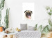 Wall Poster Pug - funny smiling dog with tongue out on white background 114959 additionalThumb 16