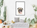 Wall Poster Pug - funny smiling dog with tongue out on white background 114959 additionalThumb 3