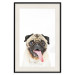 Wall Poster Pug - funny smiling dog with tongue out on white background 114959 additionalThumb 19