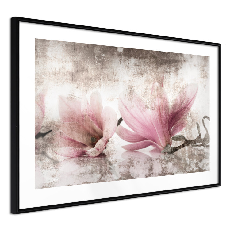 Poster Magnolia Memory - vintage botanical composition with light flowers 118259 additionalImage 3