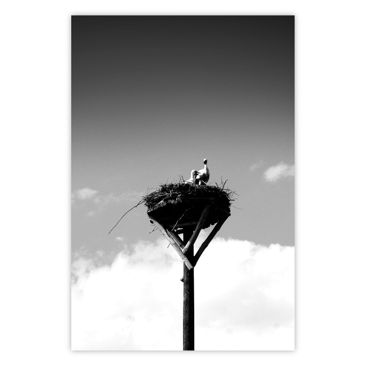 Wall Poster Stork's Nest - photograph of birds in a nest against a sky and clouds backdrop 122359