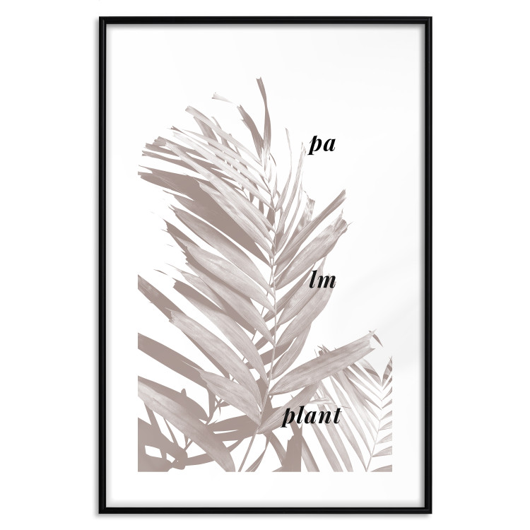 Poster Palm Plant - gray palm leaf with English text on a white background 122959 additionalImage 15
