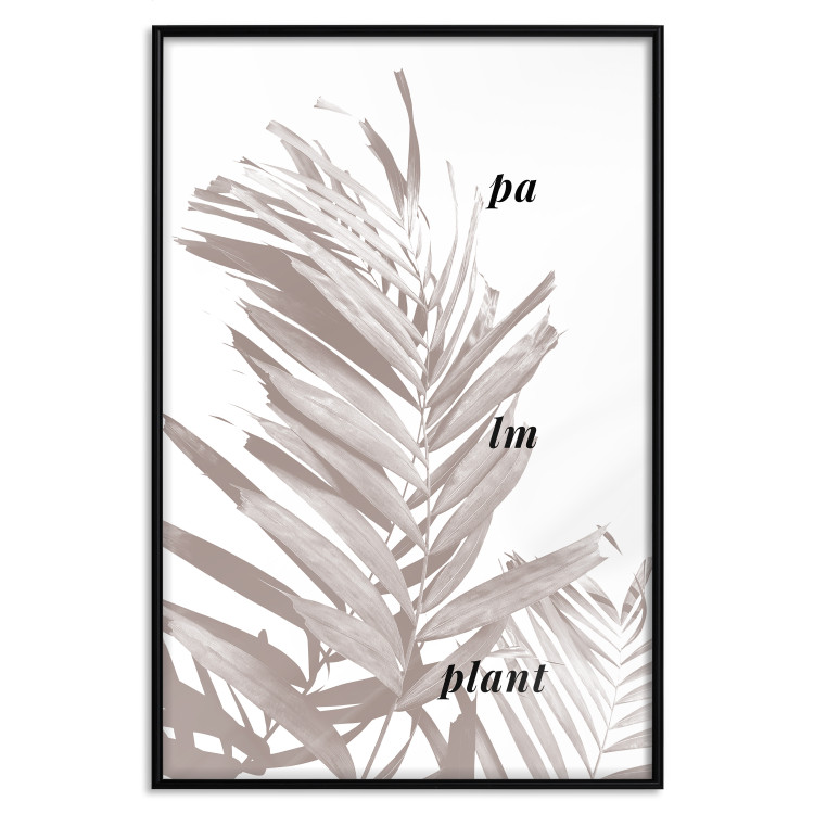 Poster Palm Plant - gray palm leaf with English text on a white background 122959 additionalImage 24