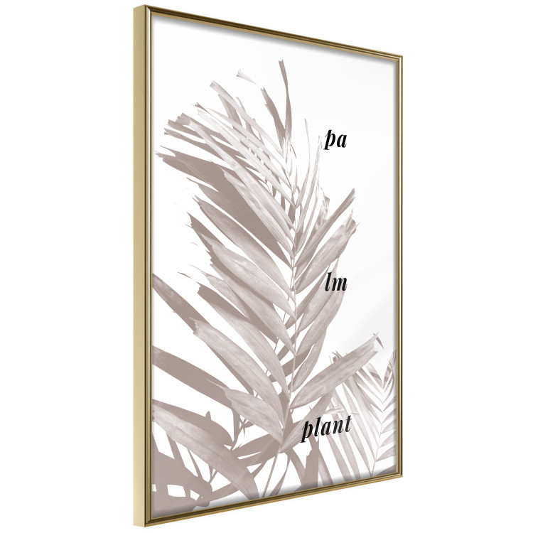 Poster Palm Plant - gray palm leaf with English text on a white background 122959 additionalImage 14