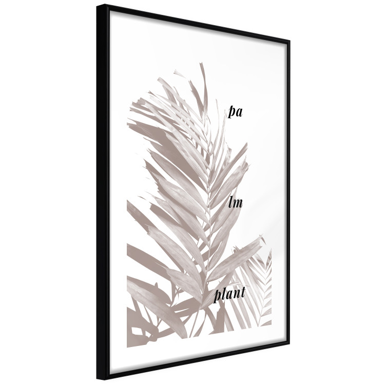 Poster Palm Plant - gray palm leaf with English text on a white background 122959 additionalImage 13