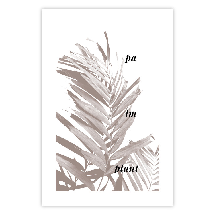 Poster Palm Plant - gray palm leaf with English text on a white background 122959 additionalImage 19