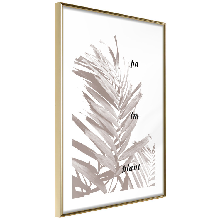 Poster Palm Plant - gray palm leaf with English text on a white background 122959 additionalImage 6