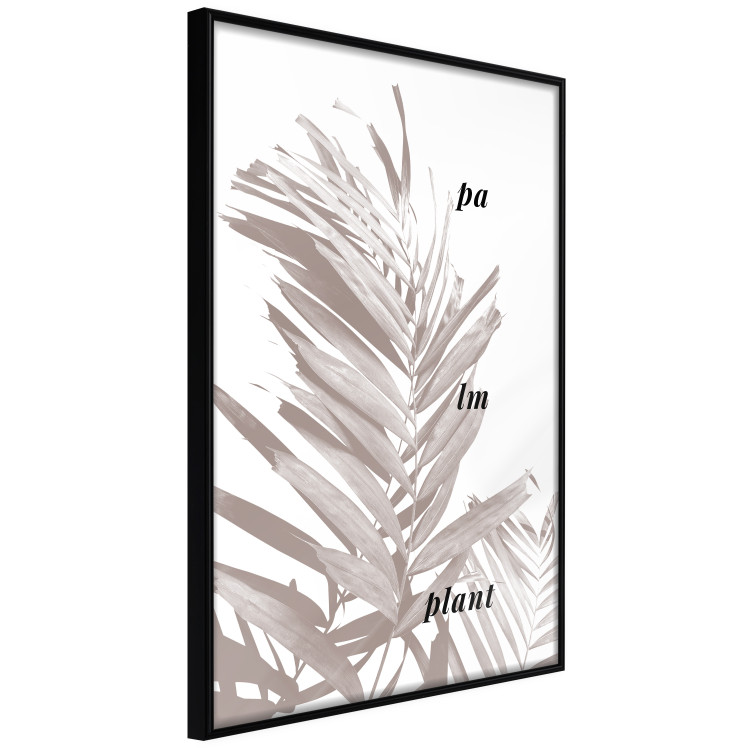 Poster Palm Plant - gray palm leaf with English text on a white background 122959 additionalImage 12