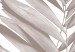 Poster Palm Plant - gray palm leaf with English text on a white background 122959 additionalThumb 10
