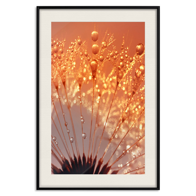 Wall Poster Autumn Dandelion - natural plant flower in close-up 123859 additionalImage 22
