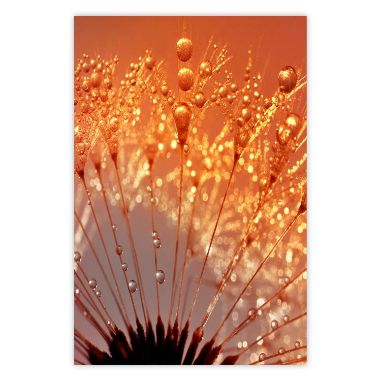 Wall Poster Autumn Dandelion - natural plant flower in close-up 123859