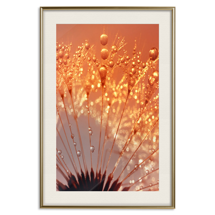 Wall Poster Autumn Dandelion - natural plant flower in close-up 123859 additionalImage 23