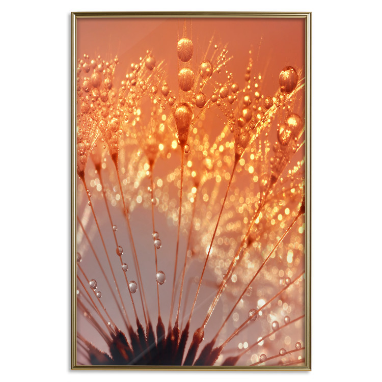 Wall Poster Autumn Dandelion - natural plant flower in close-up 123859 additionalImage 18