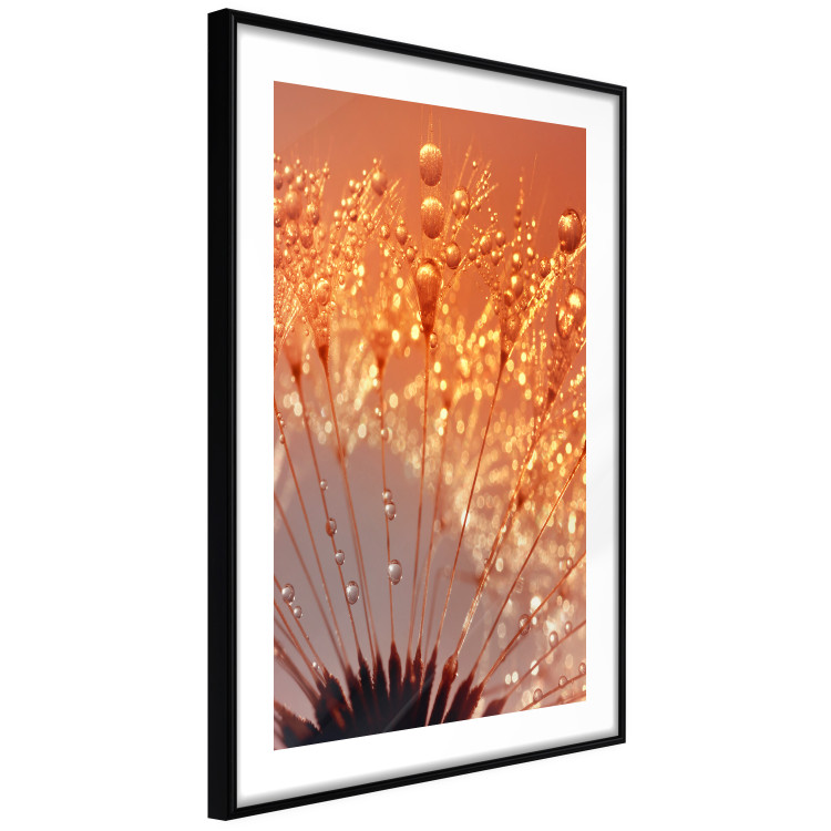 Wall Poster Autumn Dandelion - natural plant flower in close-up 123859 additionalImage 11