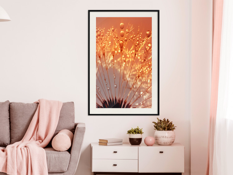 Wall Poster Autumn Dandelion - natural plant flower in close-up 123859 additionalImage 21