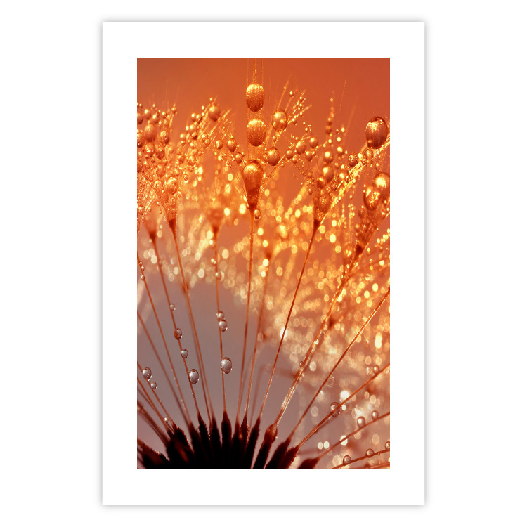 Wall Poster Autumn Dandelion - natural plant flower in close-up 123859 additionalImage 15
