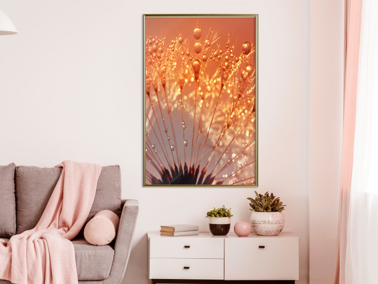 Wall Poster Autumn Dandelion - natural plant flower in close-up 123859 additionalImage 5