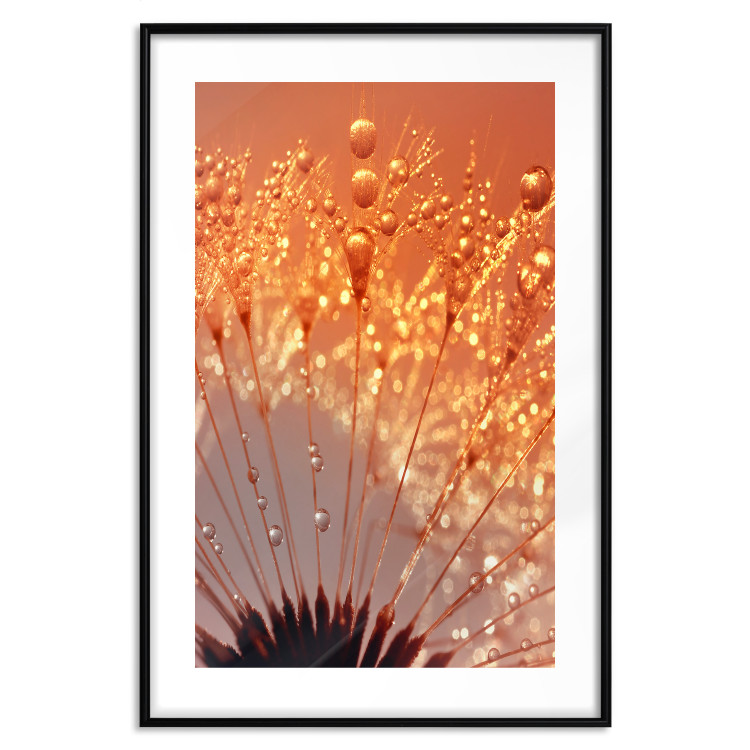 Wall Poster Autumn Dandelion - natural plant flower in close-up 123859 additionalImage 26