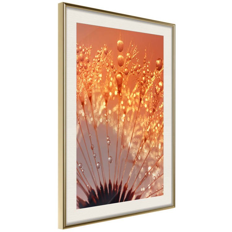 Wall Poster Autumn Dandelion - natural plant flower in close-up 123859 additionalImage 2