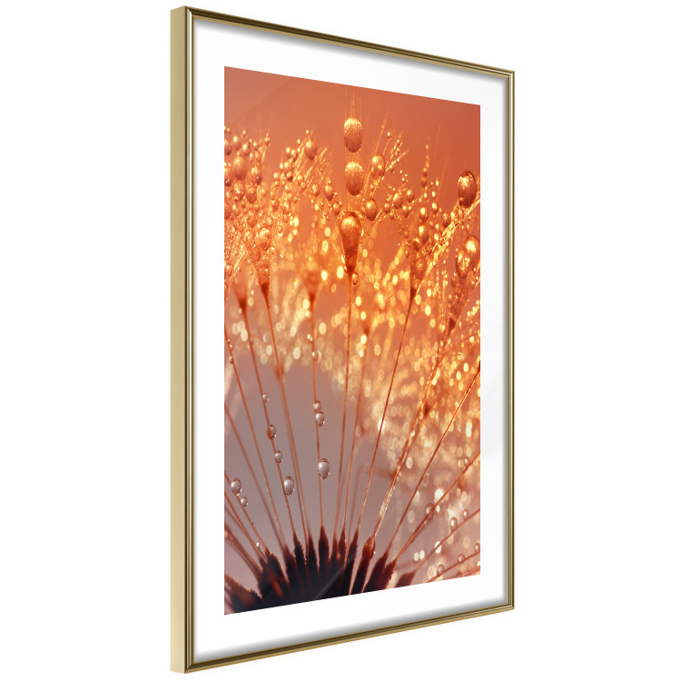 Wall Poster Autumn Dandelion - natural plant flower in close-up 123859 additionalImage 6