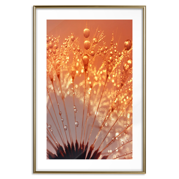 Wall Poster Autumn Dandelion - natural plant flower in close-up 123859 additionalImage 27