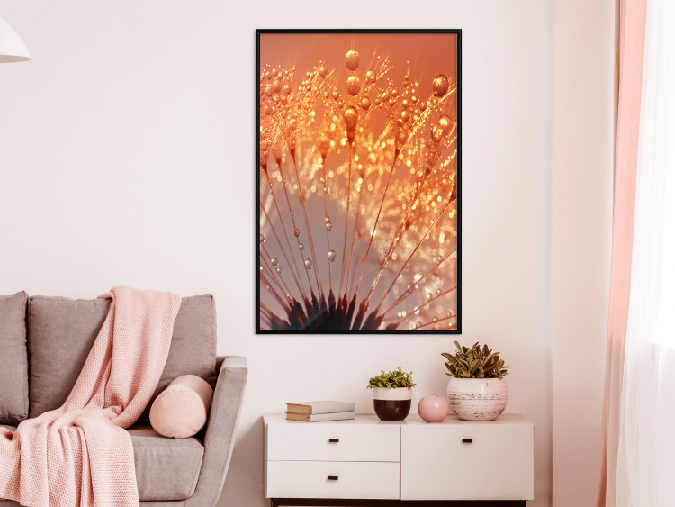 Wall Poster Autumn Dandelion - natural plant flower in close-up 123859 additionalImage 3