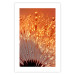Wall Poster Autumn Dandelion - natural plant flower in close-up 123859 additionalThumb 15