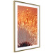 Wall Poster Autumn Dandelion - natural plant flower in close-up 123859 additionalThumb 6