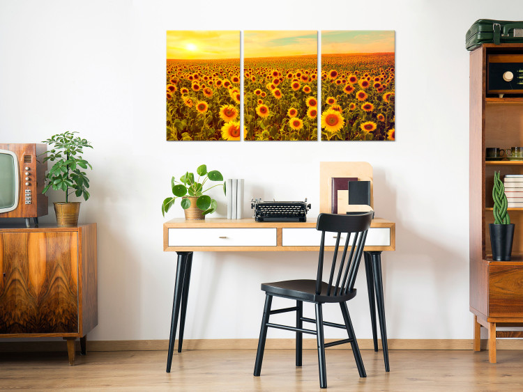 Canvas Art Print Sunflowers at Sunset (3 Parts) 124359 additionalImage 3