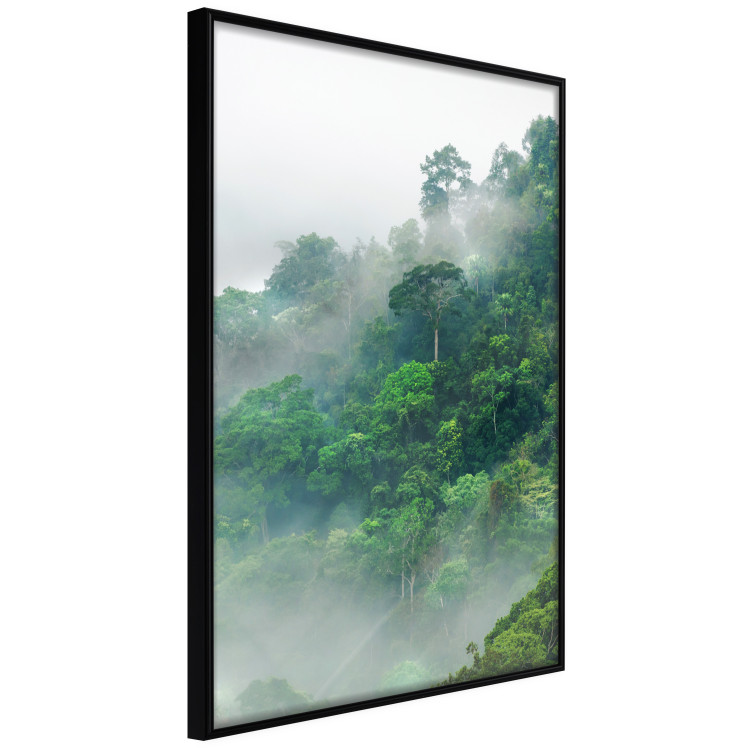 Poster Juicy Forest - tropical green trees in a mountain range during mist 125759 additionalImage 10