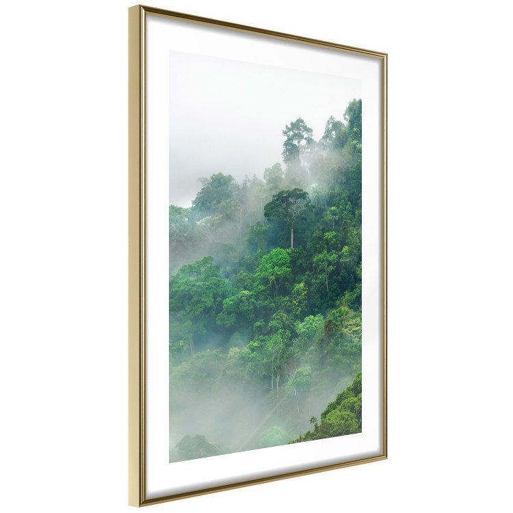 Poster Juicy Forest - tropical green trees in a mountain range during mist 125759 additionalImage 6