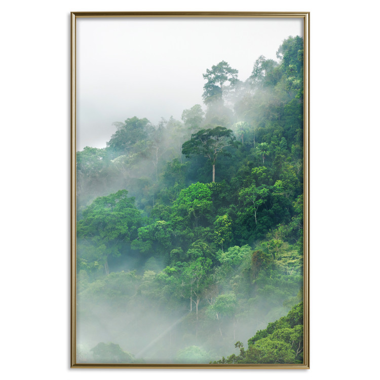 Poster Juicy Forest - tropical green trees in a mountain range during mist 125759 additionalImage 16