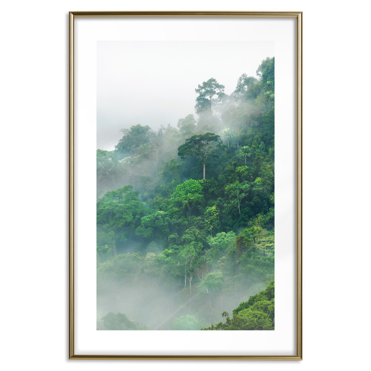 Poster Juicy Forest - tropical green trees in a mountain range during mist 125759 additionalImage 18