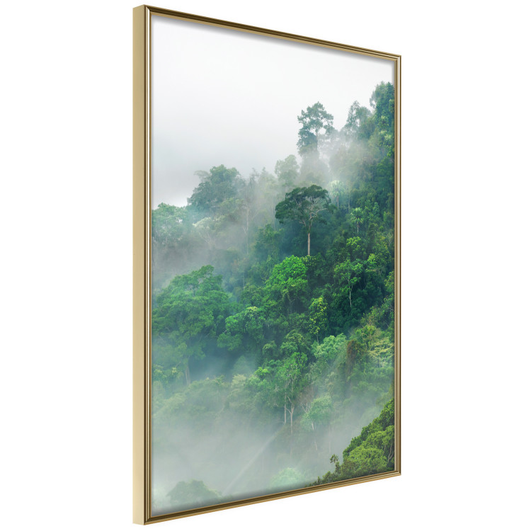 Poster Juicy Forest - tropical green trees in a mountain range during mist 125759 additionalImage 14