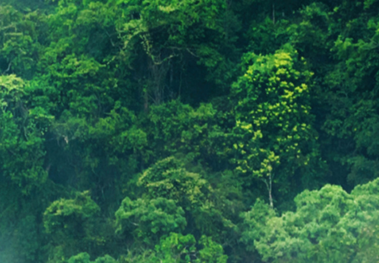 Poster Juicy Forest - tropical green trees in a mountain range during mist 125759 additionalImage 8