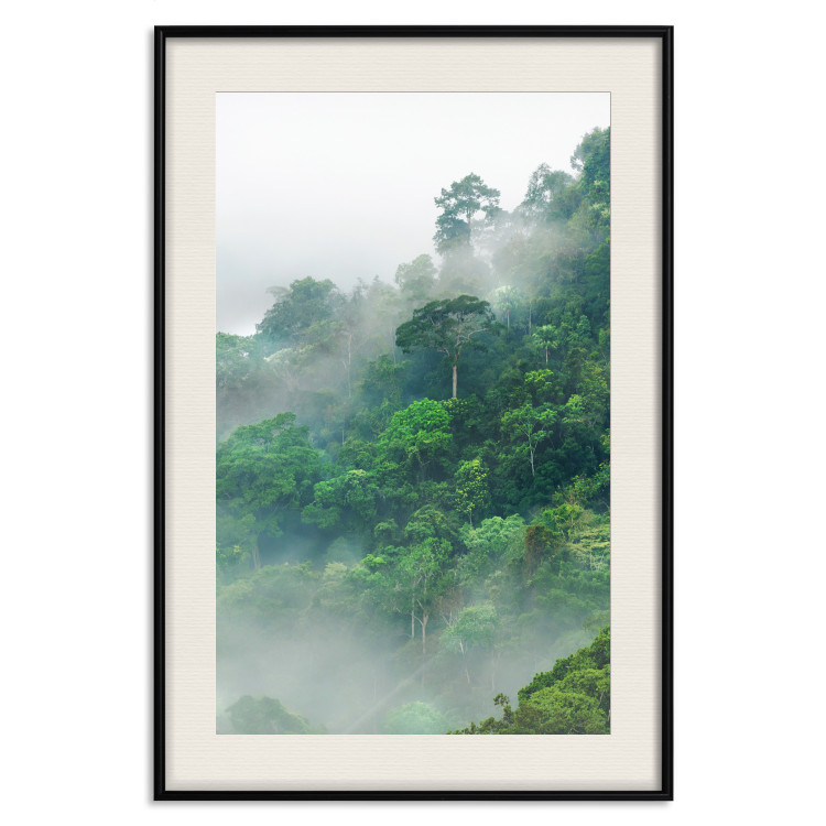Poster Juicy Forest - tropical green trees in a mountain range during mist 125759 additionalImage 27
