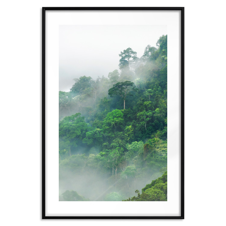 Poster Juicy Forest - tropical green trees in a mountain range during mist 125759 additionalImage 19