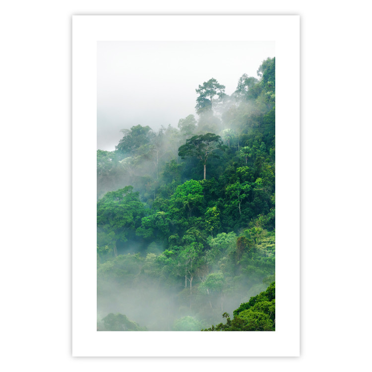 Poster Juicy Forest - tropical green trees in a mountain range during mist 125759 additionalImage 16