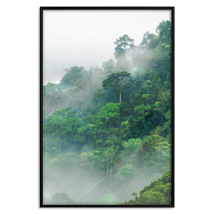 Poster Juicy Forest - tropical green trees in a mountain range during mist 125759 additionalImage 17