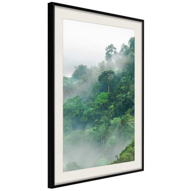 Poster Juicy Forest - tropical green trees in a mountain range during mist 125759 additionalImage 3