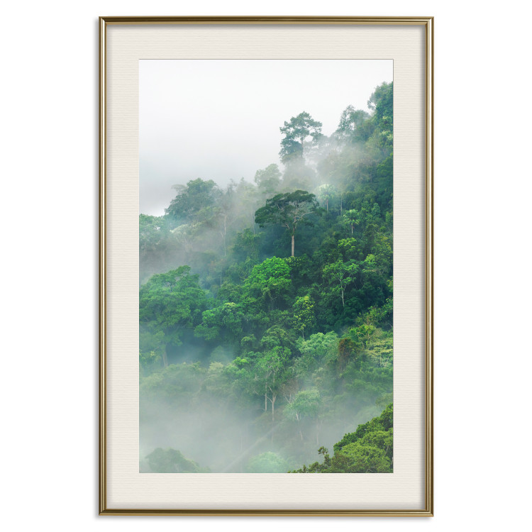 Poster Juicy Forest - tropical green trees in a mountain range during mist 125759 additionalImage 26