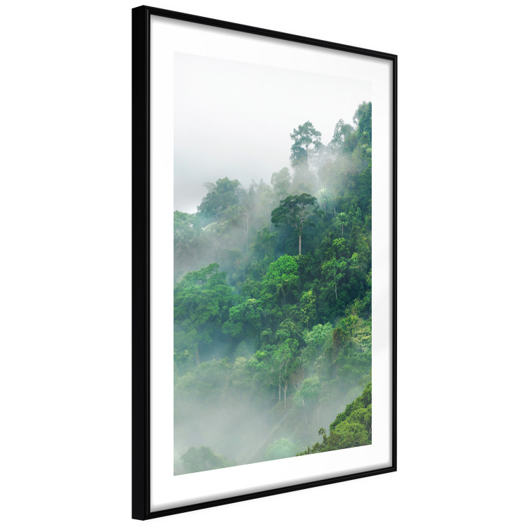 Poster Juicy Forest - tropical green trees in a mountain range during mist 125759 additionalImage 11