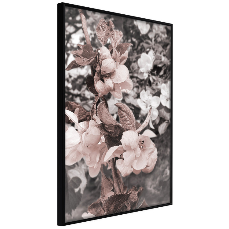 Wall Poster Balance in Nature - composition of flowers in delicate light colors 127859 additionalImage 11