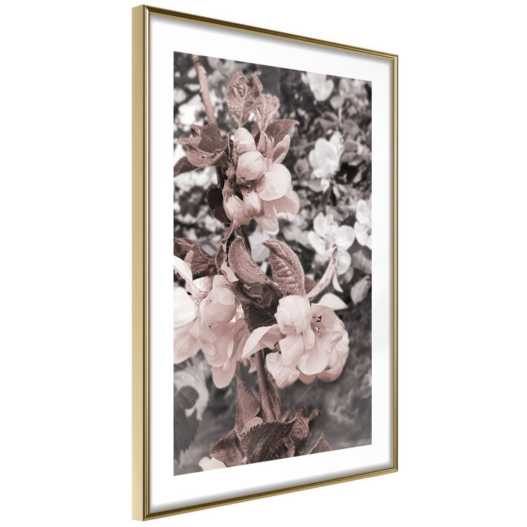 Wall Poster Balance in Nature - composition of flowers in delicate light colors 127859 additionalImage 9
