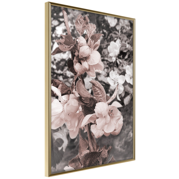 Wall Poster Balance in Nature - composition of flowers in delicate light colors 127859 additionalImage 12