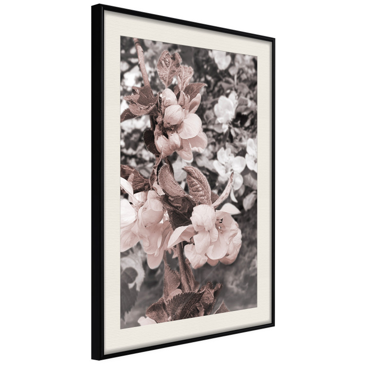 Wall Poster Balance in Nature - composition of flowers in delicate light colors 127859 additionalImage 2