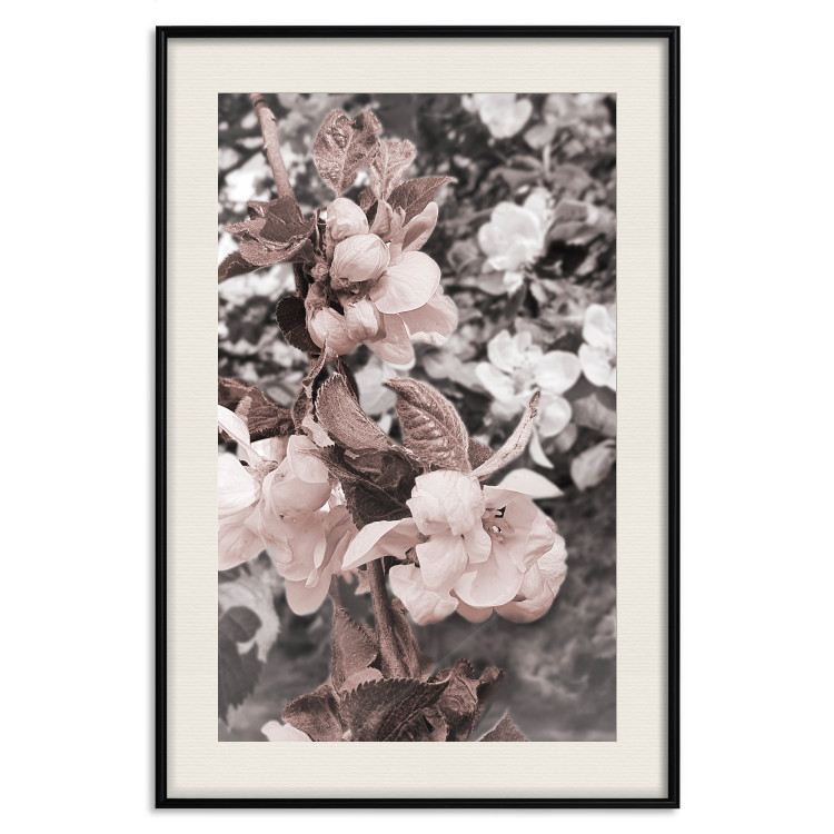 Wall Poster Balance in Nature - composition of flowers in delicate light colors 127859 additionalImage 19