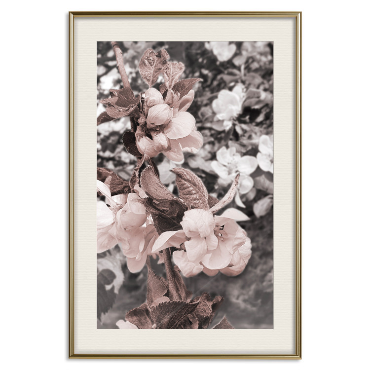 Wall Poster Balance in Nature - composition of flowers in delicate light colors 127859 additionalImage 20